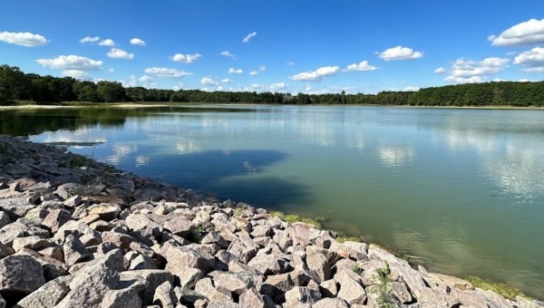 Bohdanečský rybník