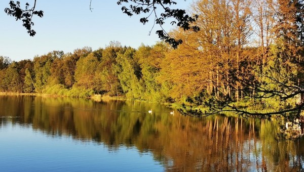 Kačležský rybník