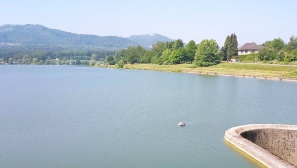 Vodní nádrž Olešná