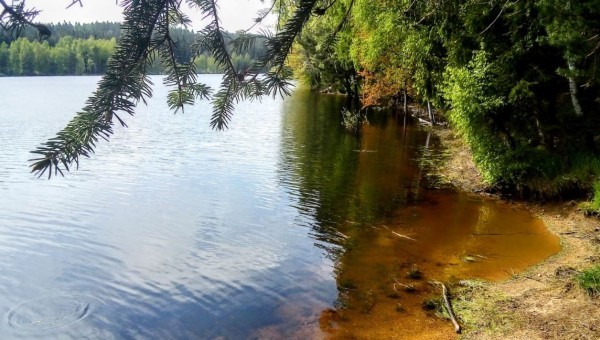 Vodní nádrž Tatrovice